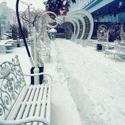 Фотографии Курска Фотографии Курска