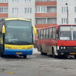 Госавтоинспекция устроит тотальную проверку автобусов