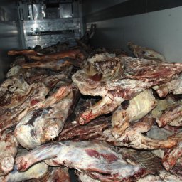 В регион пытались ввезти 37 тонн пропавшей говядины