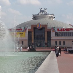 Отключение света в цирке сорвало шоу братьев Шатировых