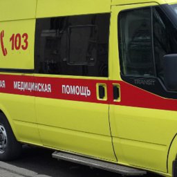 Пожарные обнаружили в сгоревшем доме тела двоих пенсионеров