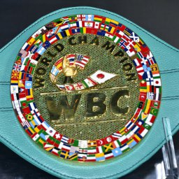 WBC примет решение по делу Поветкина после общения с боксером