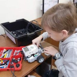 В Курской области выбрали лучших маленьких робототехников В Курской области выбрали лучших маленьких робототехников