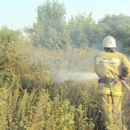 Курская область: список районов с нестабильной пожарной обстановкой пополнился