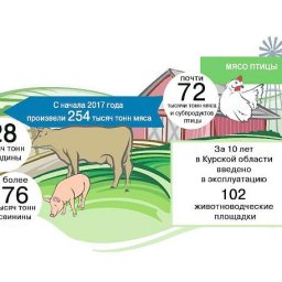 Наш продукт азиатским гурманам