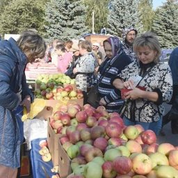 В Курске на нескольких площадках состоялись ярмарки «Осень-2017»