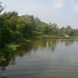 К юбилею города куряне предлагают построить новые пляжи скверы и парк