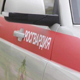 Спасенные жизни и раскрытые преступления: курская Росгвардия подвела итоги 2017 года