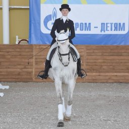 В Курске открылся уникальный в масштабах страны конноспортивный центр