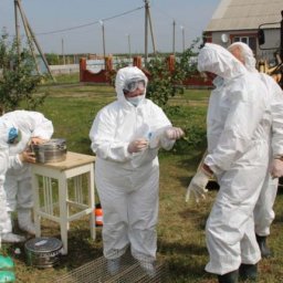 В Черемисиновском районе состоялась тренировка по ликвидации очага птичьего гриппа В Черемисиновском районе состоялась тренировка по ликвидации очага птичьего гриппа