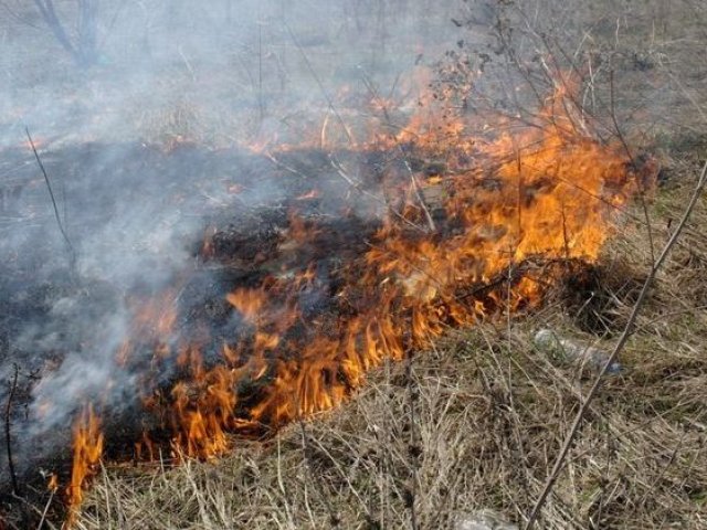 В Курске готовятся к пожароопасному сезону