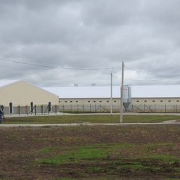 В Курской области появятся 3 новых животноводческих комплекса В Курской области появятся 3 новых животноводческих комплекса