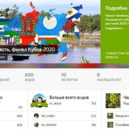 Куряне взяли серебро на Кубке по фотографированию растений Куряне взяли серебро на Кубке по фотографированию растений