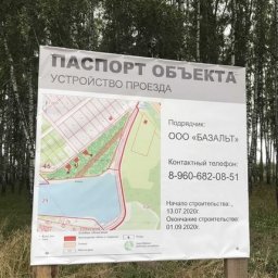 Куряне просят Романа Старовойта спасти березовую рощу