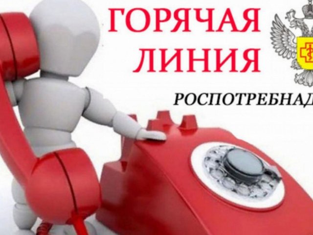 Роспотребнадзор по Курской области открывает новогоднюю «горячую линию»