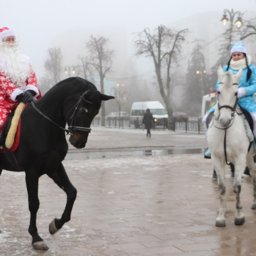 Новогодние преступления и наказания