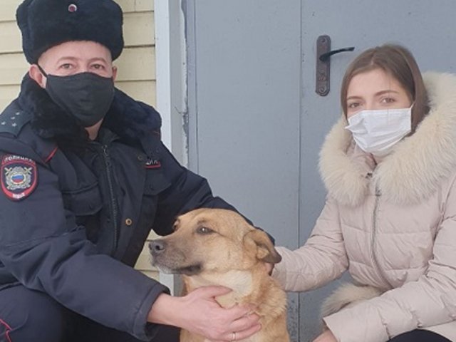 Курские полицейские помогли курянке найти пропавшую собаку