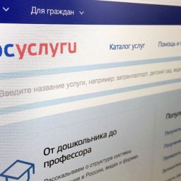 Курянам рассказали, как восстановить свою учетную запись на Едином портале государственных услуг