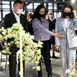 Курск из «города для машин» превратят в «город для людей» Курск из «города для машин» превратят в «город для людей»