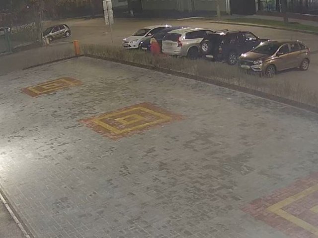 Курянка украла куст бирючины у Центра "Мой бизнес"