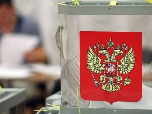 В Курской области стартовал второй день голосования