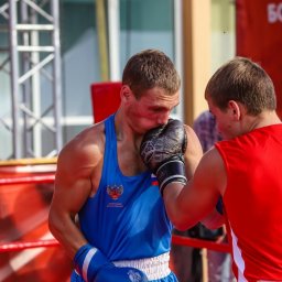 В Курске День бокса отметили флешмобом и командным турниром