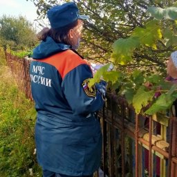 С начала года в курских СНТ произошло 15 пожаров С начала года в курских СНТ произошло 15 пожаров