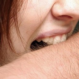В Курской области пьяная 20-летняя украинка покусала полицейского В Курской области пьяная 20-летняя украинка покусала полицейского