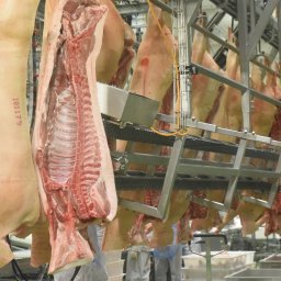 Мясоперерабатывающий завод в Курской области повысил производительность труда Мясоперерабатывающий завод в Курской области повысил производительность труда