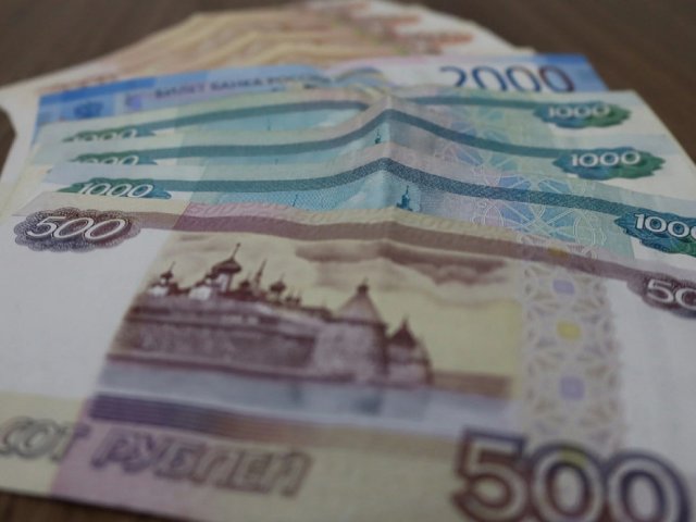 Многодетные курские семьи могут получить компенсацию вместо земельного участка