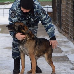Курский инспектор-кинолог: «Нельзя дарить домашних животных» Курский инспектор-кинолог: «Нельзя дарить домашних животных»