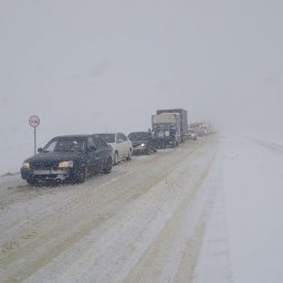 31 марта в Курской области прошла метель в семи районах