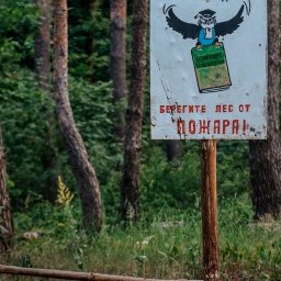 В Курской области действует особый противопожарный режим В Курской области действует особый противопожарный режим