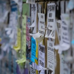 Курян автоматически информируют о нарушении Правил благоустройства Курян автоматически информируют о нарушении Правил благоустройства