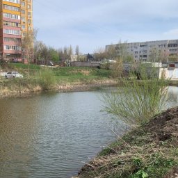 В Курске повторно очистят водоём в сквере Студенческий В Курске повторно очистят водоём в сквере Студенческий