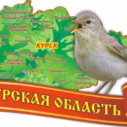 В Курской области планируется учредить три новые памятные даты В Курской области планируется учредить три новые памятные даты