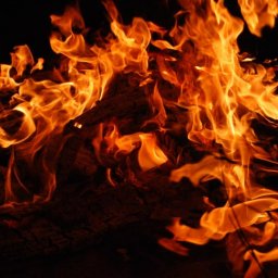 В Курске поймали серийного поджигателя мусора В Курске поймали серийного поджигателя мусора