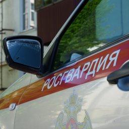 В Курске 23-летний парень пытался украсть в магазине 32 дезодоранта В Курске 23-летний парень пытался украсть в магазине 32 дезодоранта