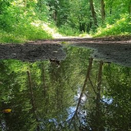 Курским водителям рассказали, как обезопасить езду при тумане Курским водителям рассказали, как обезопасить езду при тумане