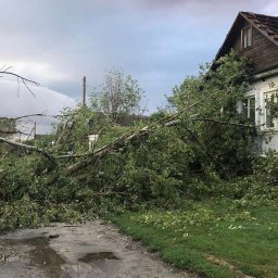 В ходе урагана в Курской области без электричества оказался 261 населенный пункт В ходе урагана в Курской области без электричества оказался 261 населенный пункт