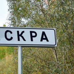 Курянин судился с сельсоветом по поводу границ сельского кладбища Курянин судился с сельсоветом по поводу границ сельского кладбища