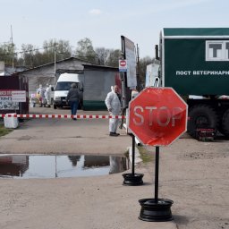 В Курской области усилили работу по вакцинации животных против сибирской язвы В Курской области усилили работу по вакцинации животных против сибирской язвы