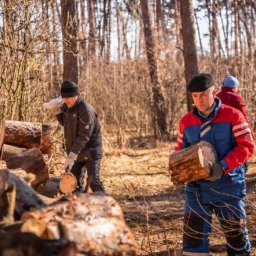 В Курске 16 сентября пройдет акция по заготовке дров для СВО В Курске 16 сентября пройдет акция по заготовке дров для СВО