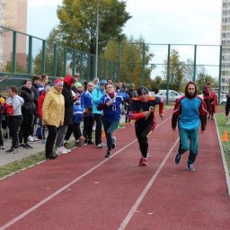 В Курске проходит спартакиада для работников образования В Курске проходит спартакиада для работников образования