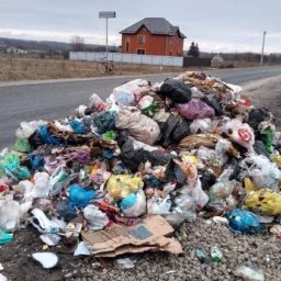 Алексей Смирнов прокомментировал ситуацию с вывозом мусора в поселке Тёткино