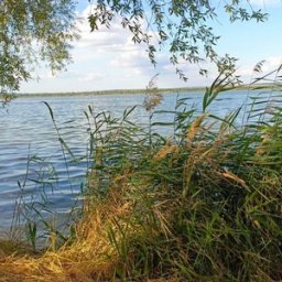 Курских родителей призывают не отпускать детей одних к водоемам
