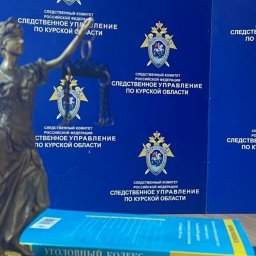 Двух курян осудили за мошенничество в особо крупном размере