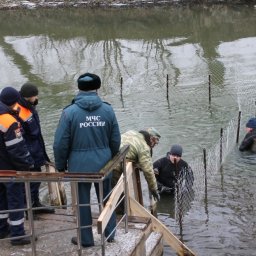 Курские спасатели подготовили купель в Золотухинском районе Курские спасатели подготовили купель в Золотухинском районе