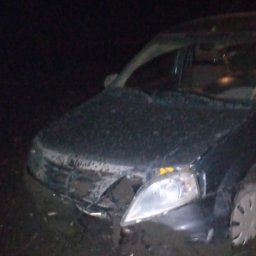 В селе Фентисово Курской области 2 человека пострадали в ДТП В селе Фентисово Курской области 2 человека пострадали в ДТП