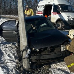 В Курской области девочка получила черепно-мозговую травму в ДТП В Курской области девочка получила черепно-мозговую травму в ДТП